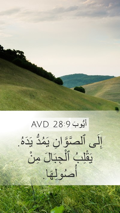 أَيُّوبَ 28:9 AVD Mobile Phone Wallpaper - إِلَى ٱلصَّوَّانِ يَمُدُّ - Mobile Bible Verse Wallpaper