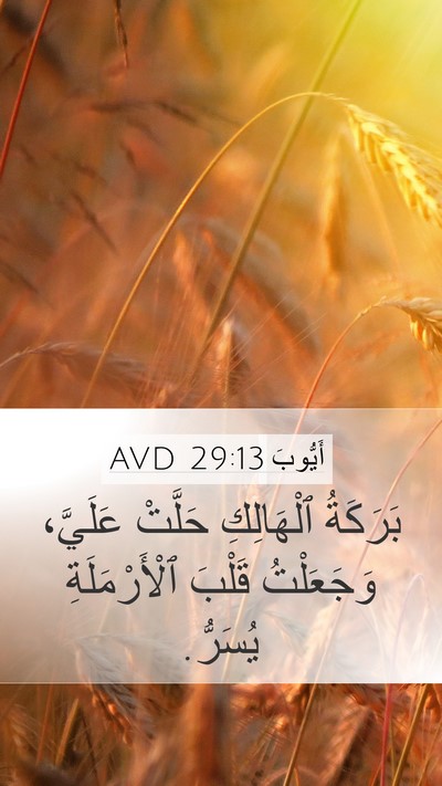 أَيُّوبَ 29:13 AVD Bible Verse Image