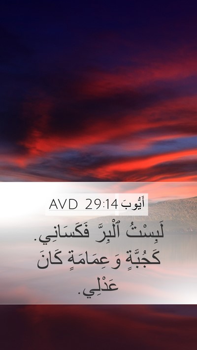 أَيُّوبَ 29:14 AVD Bible Verse Image