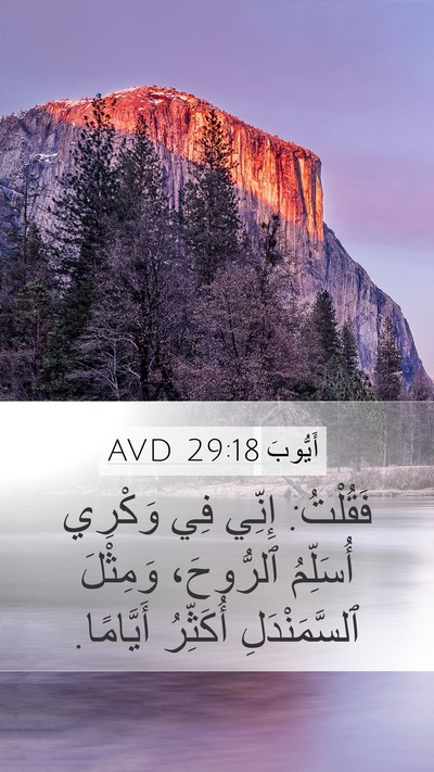 أَيُّوبَ 29:18 AVD Bible Verse Image