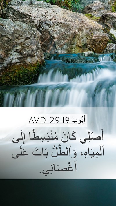 أَيُّوبَ 29:19 AVD Bible Verse Image