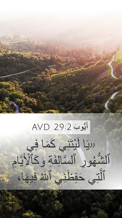 أَيُّوبَ 29:2 AVD Bible Verse Image