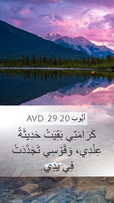 أَيُّوبَ 29:20 AVD Bible Verse Image