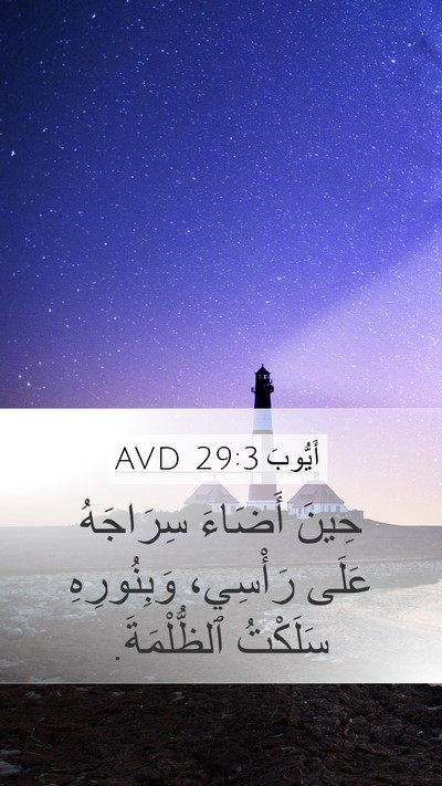 أَيُّوبَ 29:3 AVD Bible Verse Image
