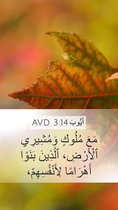أَيُّوبَ 3:14 AVD Mobile Phone Wallpaper - مَعَ مُلُوكٍ وَمُشِيرِي - Mobile Bible Verse Wallpaper