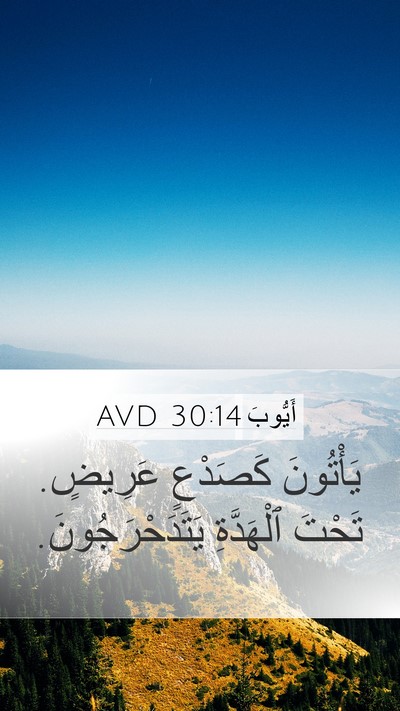 أَيُّوبَ 30:14 AVD Bible Verse Image