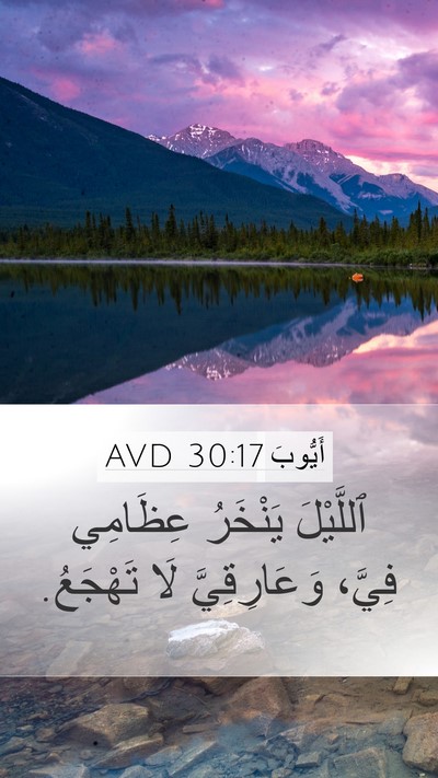 أَيُّوبَ 30:17 AVD Bible Verse Image