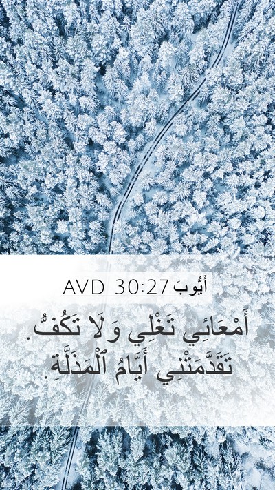 أَيُّوبَ 30:27 AVD Bible Verse Image