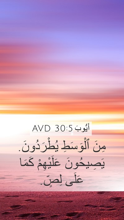 أَيُّوبَ 30:5 AVD Bible Verse Image