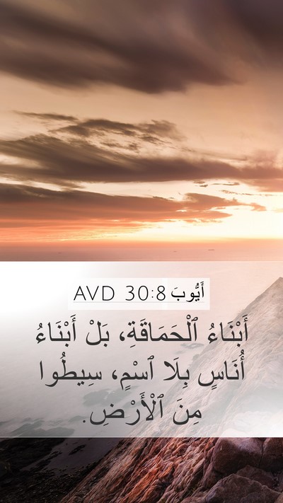 أَيُّوبَ 30:8 AVD Bible Verse Image