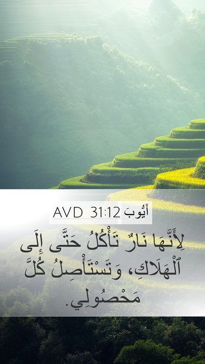 أَيُّوبَ 31:12 AVD Mobile Phone Wallpaper - لِأَنَّهَا نَارٌ تَأْكُلُ - Mobile Bible Verse Wallpaper