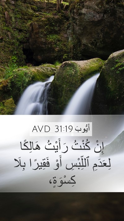 أَيُّوبَ 31:19 AVD Bible Verse Image