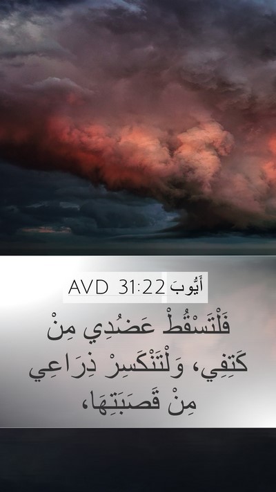 أَيُّوبَ 31:22 AVD Mobile Phone Wallpaper - فَلْتَسْقُطْ عَضُدِي مِنْ - Mobile Bible Verse Wallpaper