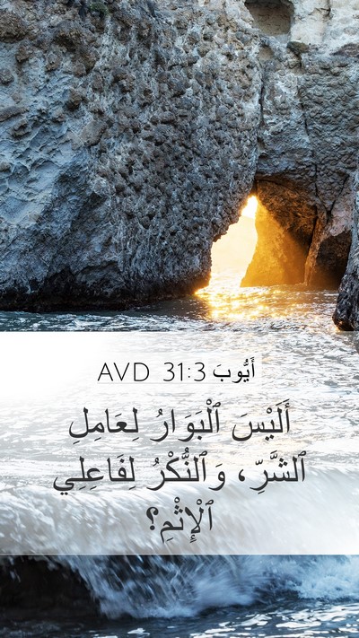 أَيُّوبَ 31:3 AVD Bible Verse Image