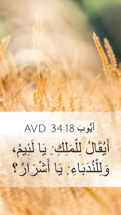 أَيُّوبَ 34:18 AVD Bible Verse Image