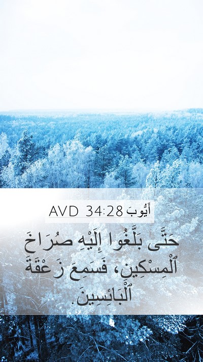 أَيُّوبَ 34:28 AVD Bible Verse Image