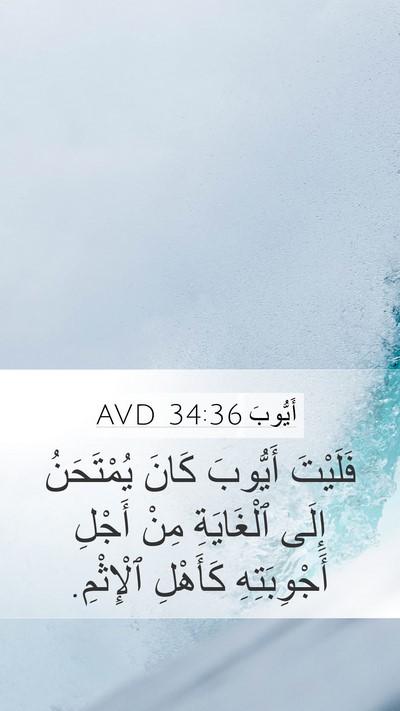 أَيُّوبَ 34:36 AVD Bible Verse Image