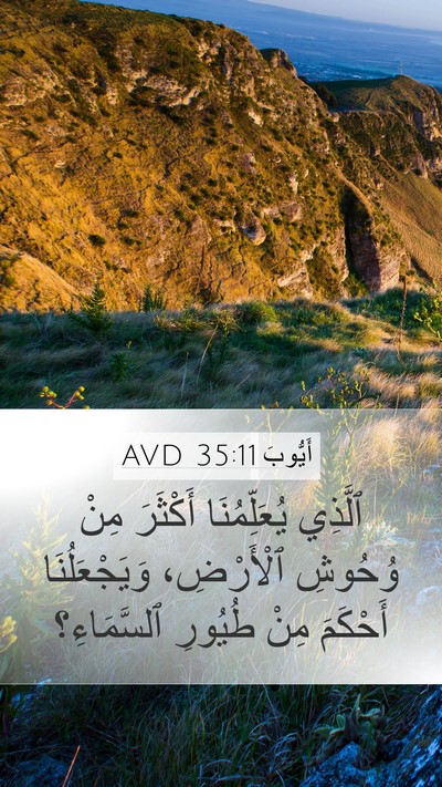 أَيُّوبَ 35:11 AVD Bible Verse Image