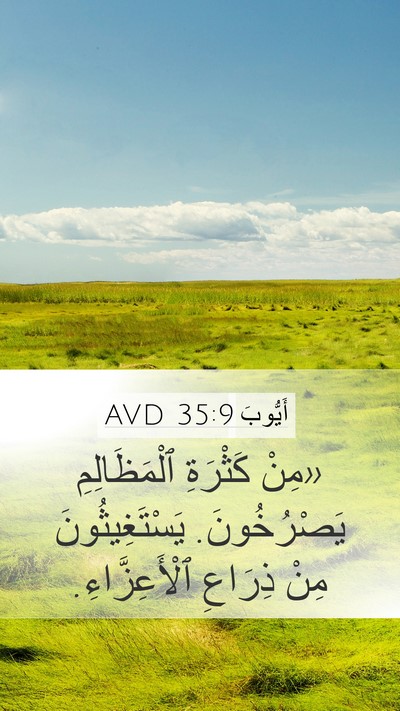 أَيُّوبَ 35:9 AVD Bible Verse Image