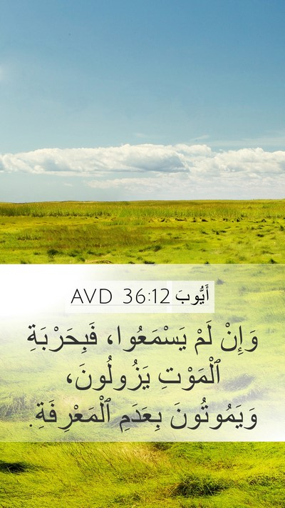 أَيُّوبَ 36:12 AVD Bible Verse Image