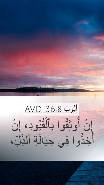 أَيُّوبَ 36:8 AVD Bible Verse Image