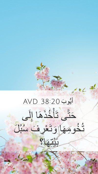 أَيُّوبَ 38:20 AVD Mobile Phone Wallpaper - حَتَّى تَأْخُذَهَا إِلَى - Mobile Bible Verse Wallpaper