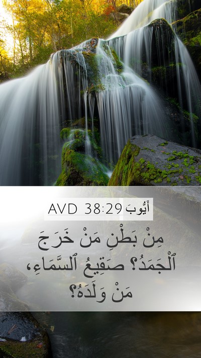أَيُّوبَ 38:29 AVD Bible Verse Image