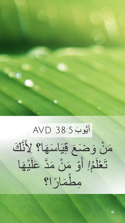 أَيُّوبَ 38:5 AVD Bible Verse Image