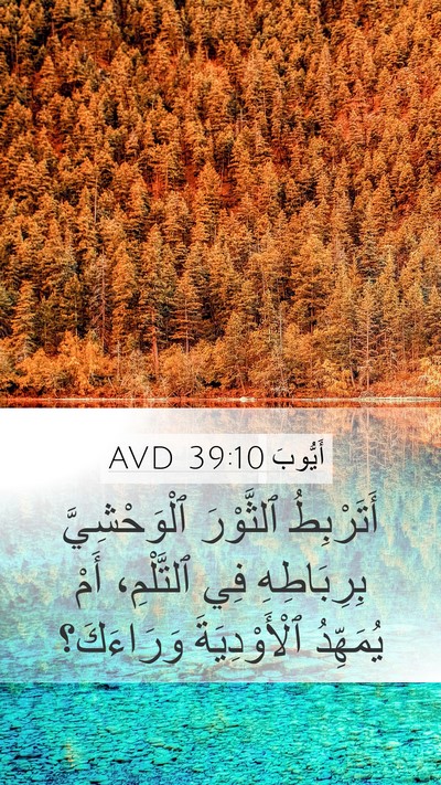 أَيُّوبَ 39:10 AVD Mobile Phone Wallpaper - أَتَرْبِطُ ٱلثَّوْرَ - Mobile Bible Verse Wallpaper