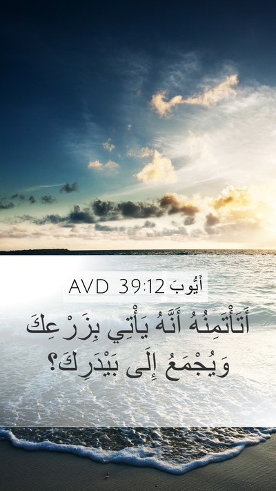 أَيُّوبَ 39:12 AVD Mobile Phone Wallpaper - أَتَأْتَمِنُهُ أَنَّهُ - Mobile Bible Verse Wallpaper