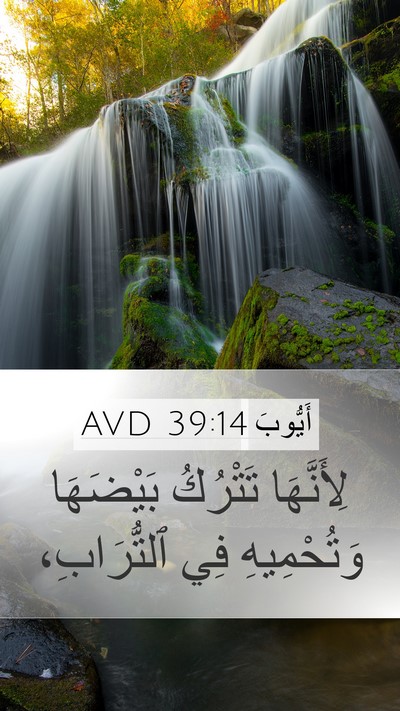 أَيُّوبَ 39:14 AVD Bible Verse Image