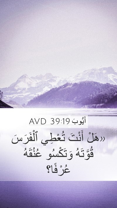 أَيُّوبَ 39:19 AVD Bible Verse Image