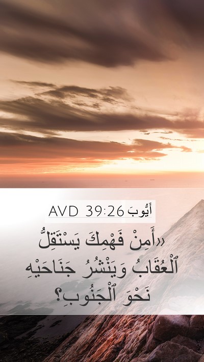 أَيُّوبَ 39:26 AVD Bible Verse Image