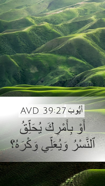 أَيُّوبَ 39:27 AVD Bible Verse Image