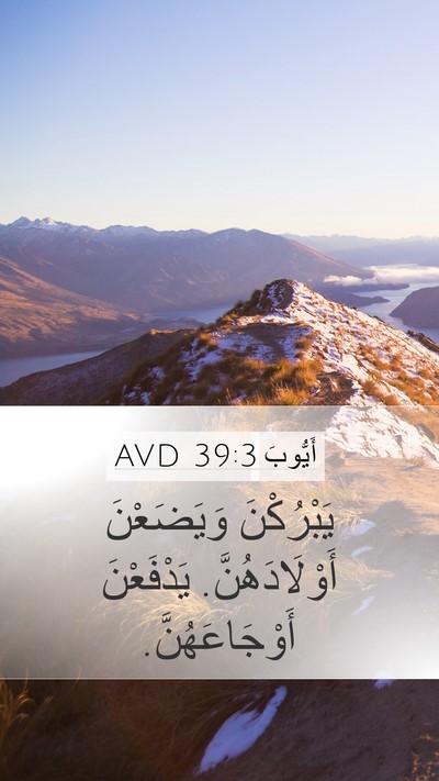 أَيُّوبَ 39:3 AVD Mobile Phone Wallpaper - يَبْرُكْنَ وَيَضَعْنَ - Mobile Bible Verse Wallpaper