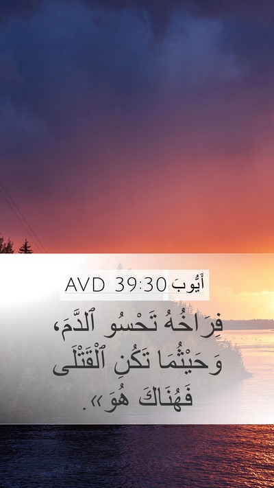 أَيُّوبَ 39:30 AVD Bible Verse Image