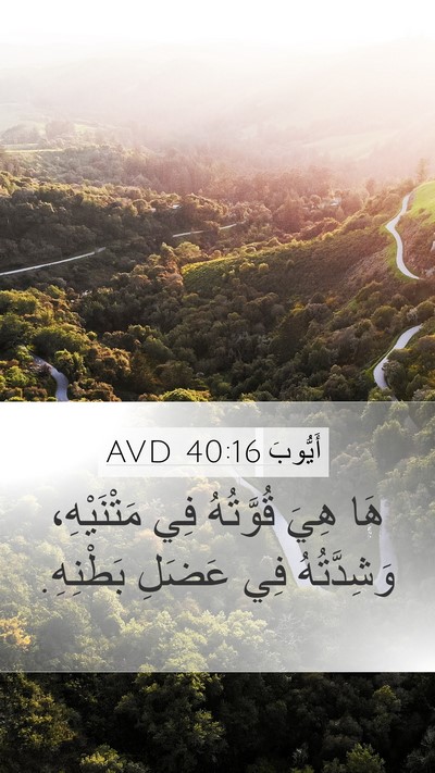 أَيُّوبَ 40:16 AVD Bible Verse Image