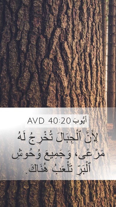 أَيُّوبَ 40:20 AVD Bible Verse Image
