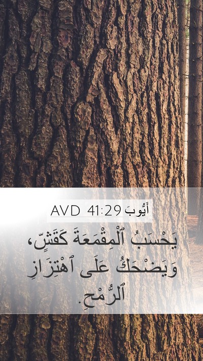 أَيُّوبَ 41:29 AVD Bible Verse Image