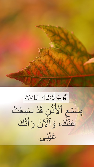 أَيُّوبَ 42:5 AVD Bible Verse Image