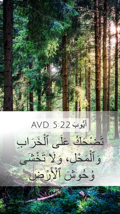 أَيُّوبَ 5:22 AVD Bible Verse Image