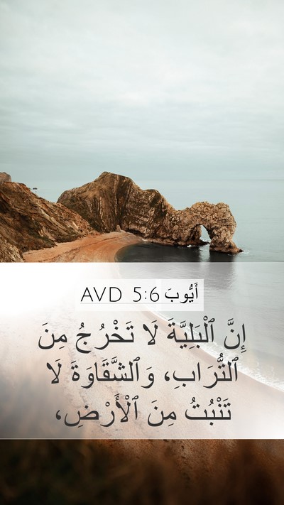 أَيُّوبَ 5:6 AVD Bible Verse Image