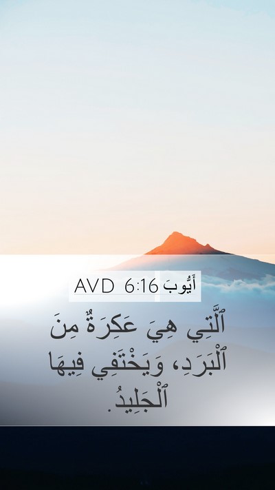 أَيُّوبَ 6:16 AVD Bible Verse Image