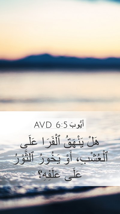 أَيُّوبَ 6:5 AVD Bible Verse Image