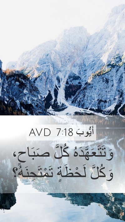 أَيُّوبَ 7:18 AVD Bible Verse Image