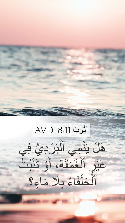 أَيُّوبَ 8:11 AVD Bible Verse Image