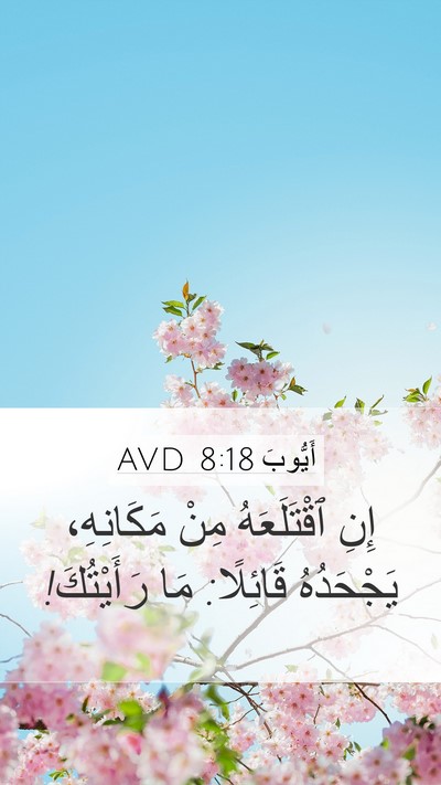 أَيُّوبَ 8:18 AVD Bible Verse Image