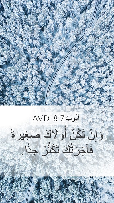 أَيُّوبَ 8:7 AVD Bible Verse Image