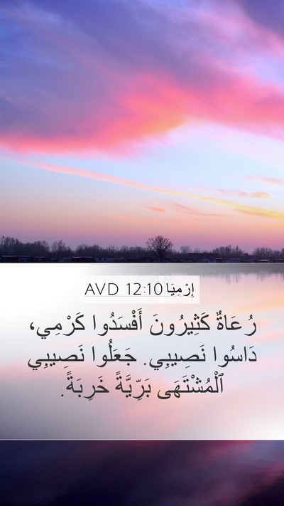 إِرْمِيَا 12:10 AVD Bible Verse Image