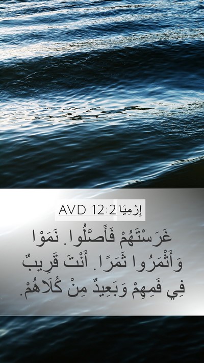 إِرْمِيَا 12:2 AVD Bible Verse Image